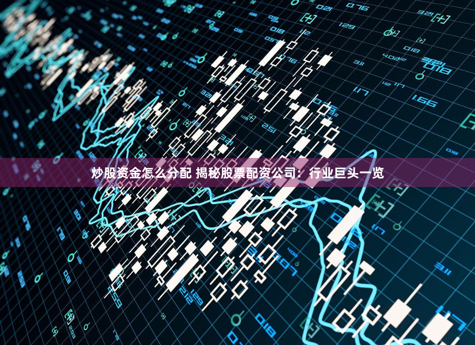 炒股资金怎么分配 揭秘股票配资公司：行业巨头一览