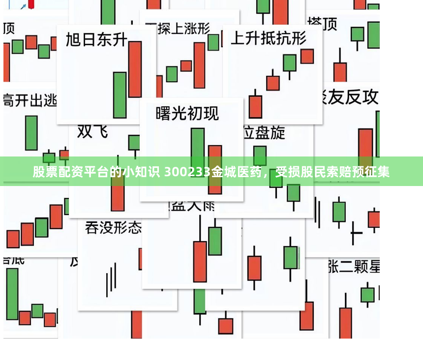 股票配资平台的小知识 300233金城医药，受损股民索赔预征集