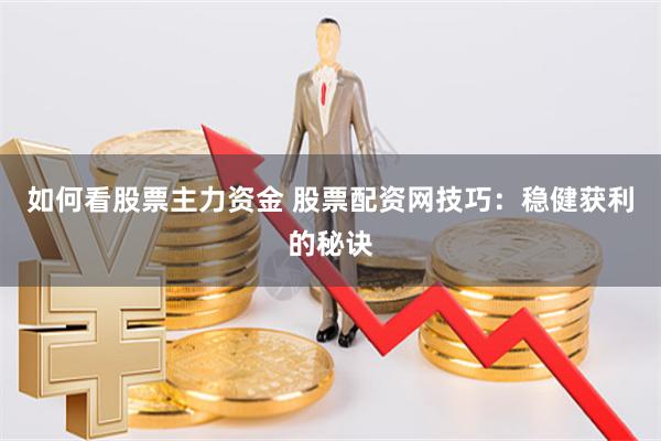 如何看股票主力资金 股票配资网技巧：稳健获利的秘诀